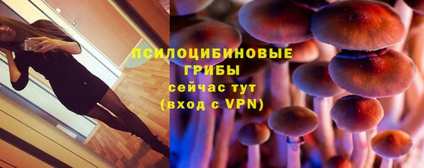 соль курить ск Алексеевка