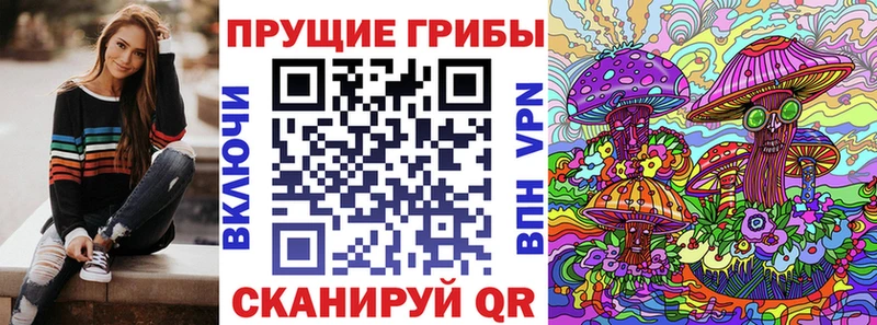 MEGA   Алейск  Псилоцибиновые грибы Psilocybine cubensis 